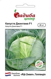Насіння капусти б/к Джинтама F1, 20шт, Rijk Zwaan, Голландія, насіння Садиба Центр 1