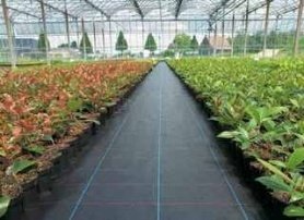 Тканина для покриття грунту Агролис (Agrolys) BL100, 5,15*100м (100г/м2) 1