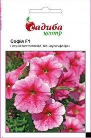 Насіння петунії багатоквіткової Софія F1, 10гранул, Cerny, Чехія, Садиба Центр 1